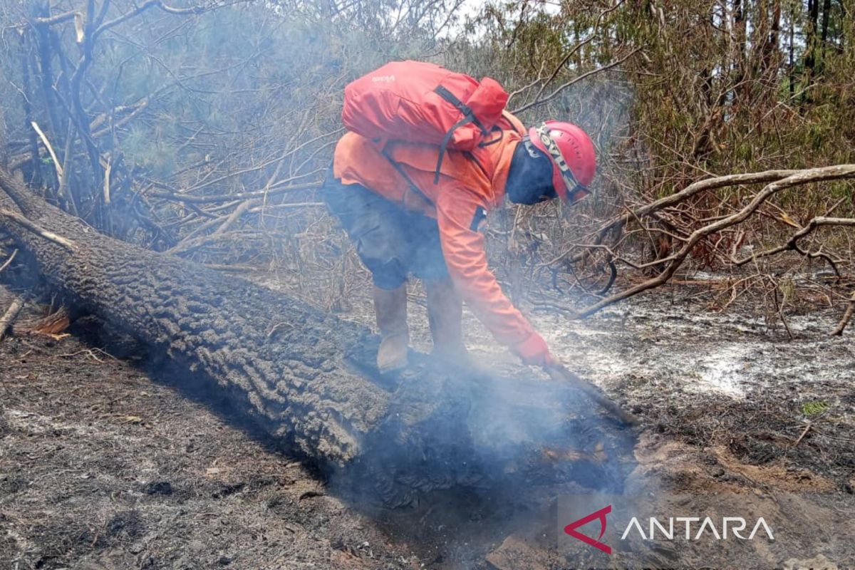 Crews cool three blocks after Ciremai wildfire contained