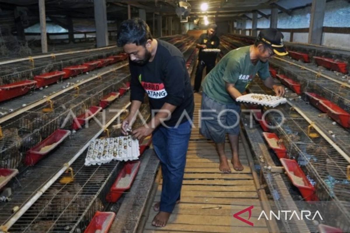 Government preparing framework to involve MSMEs in supplying food for free meals programme