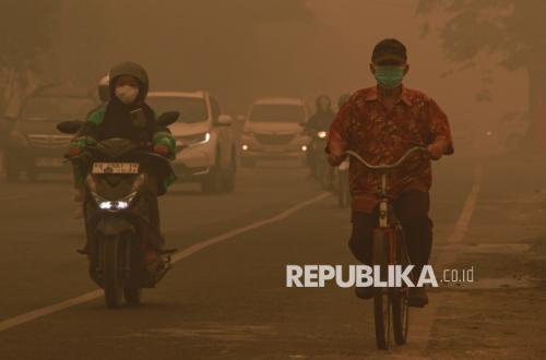 Rainfall Begins, Areas Affected by Forest and Land Fires Fall Significantly