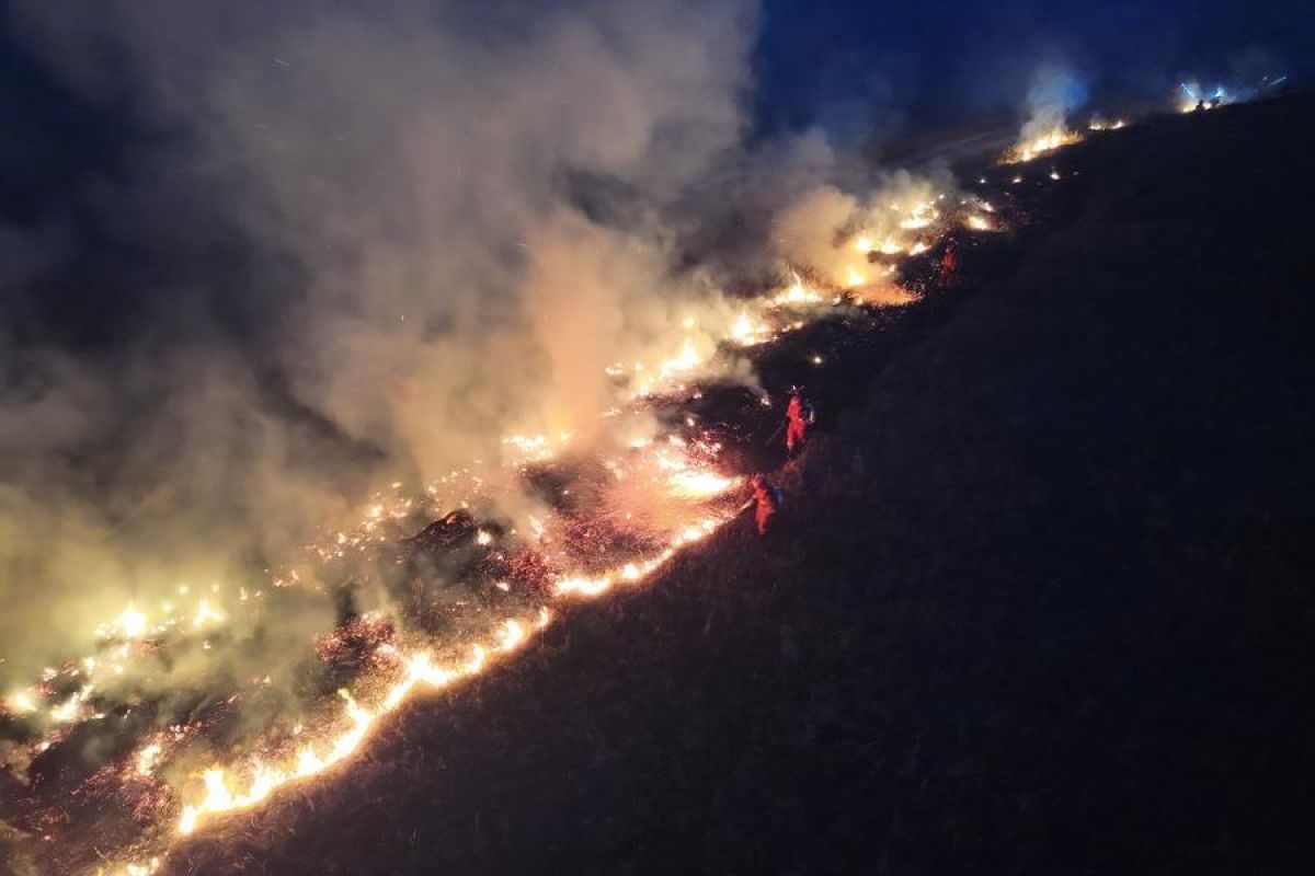 Mongolian PM Calls Major Grassland Fire a Serious Issue